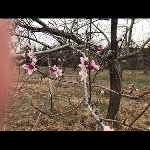 Meet your Posher, Dana